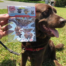 Load image into Gallery viewer, a hand holding an OMG You're Home Chocolate Labrador Retriever magnet in a package next to a chocolate lab dog