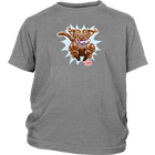 OMG Chocolate Labrador Retriever - District Youth Shirt