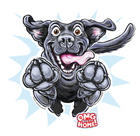 Black labrador retriever decal