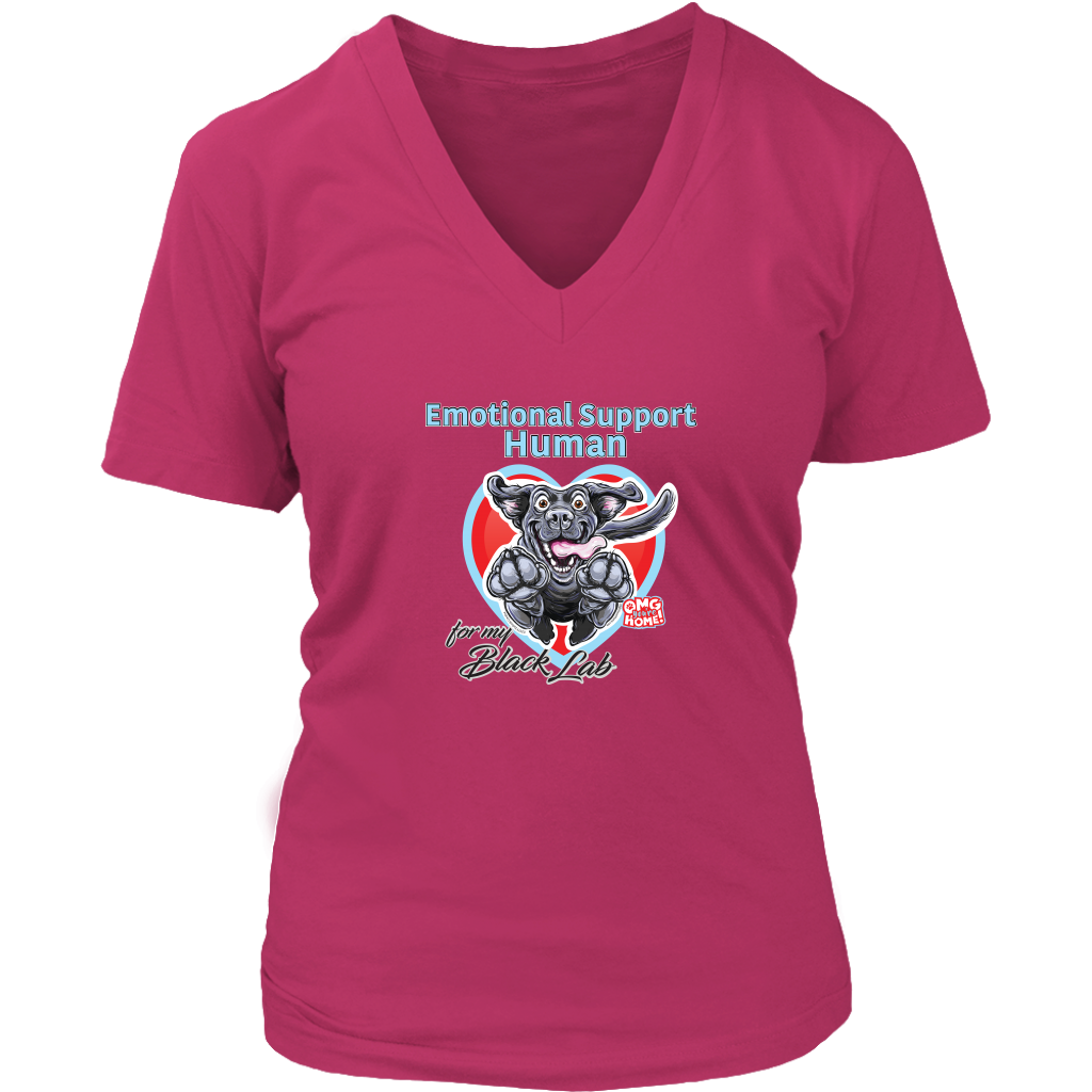 a womens pink v-neck by District featuring the OMG You're Home! Black Labrador Retriever dog design on the front. 