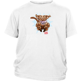 OMG Chocolate Labrador Retriever - District Youth Shirt