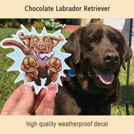Chocolate lab dog sitting next to a hand holding an OMG You're Home Chocolate Labrador Retriever weatherproof decal for indoor or outdoor use