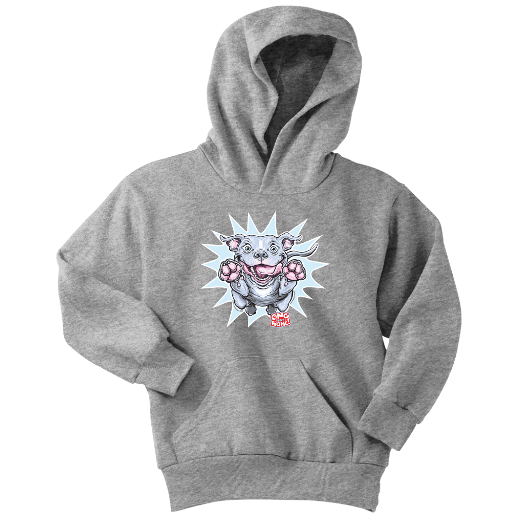 Front view of a youth hoodie featuring the OMG Blue Nose Pit Bull design