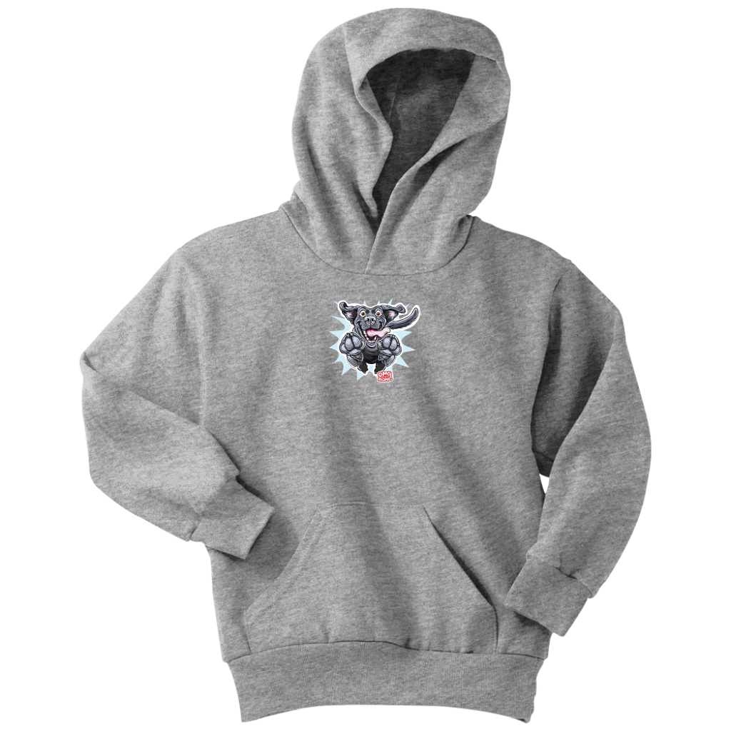 OMG Black Labrador Retriever - Youth Hoodie